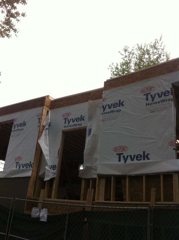 Project name