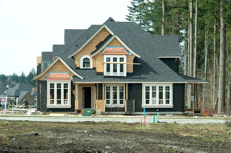 Project name